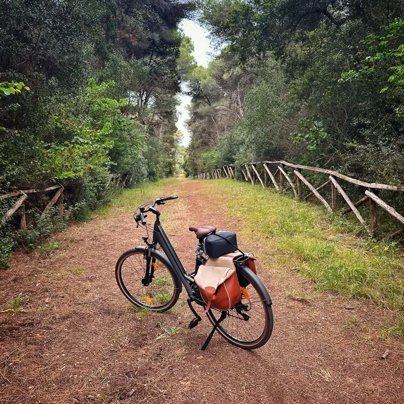 Apulia Outdoor, bici con borse sul sentiero nel bosco