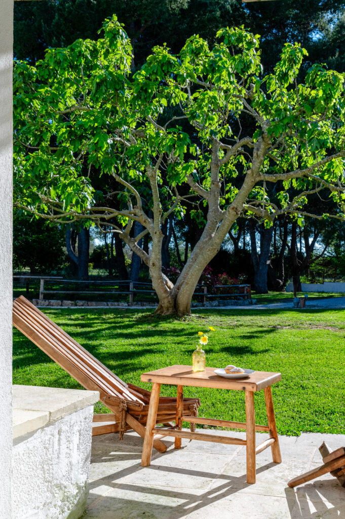 Masseria Rauccio, sdraio in giardino all'ombra di un fico