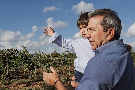Cantine Paololeo, in vigna con lo sguardo sui filari